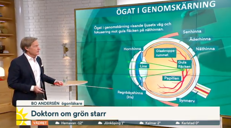 Ögonläkare i TV rekommenderar ögonhälsoundersökning