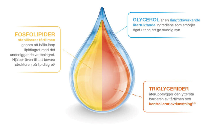 Thealipid hjälper reparara lipidskiktet i tårvätskan